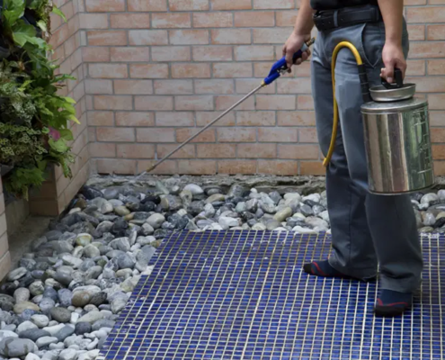 Termite Treatment Program