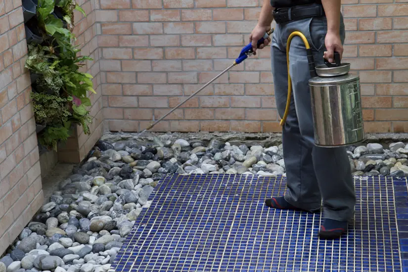 Termite Treatment Program