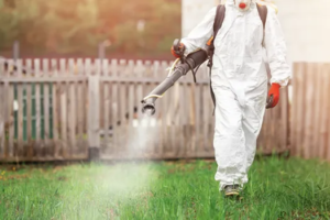 georgia-mosquito-control