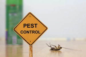 TruNorth-Pest-Control-Promise