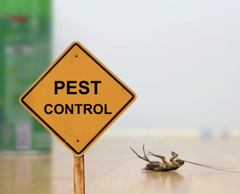 TruNorth-Pest-Control-Promise