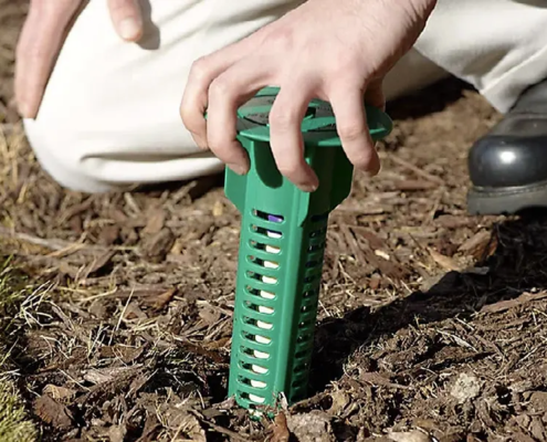 Importance of Timely Termite Inspections