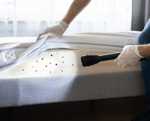 Bed bug Prevention and treatments