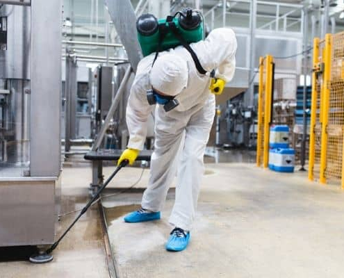 Top Pest Control Strategies for Commercial Properties