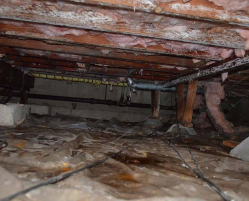 White mold in crawl space
