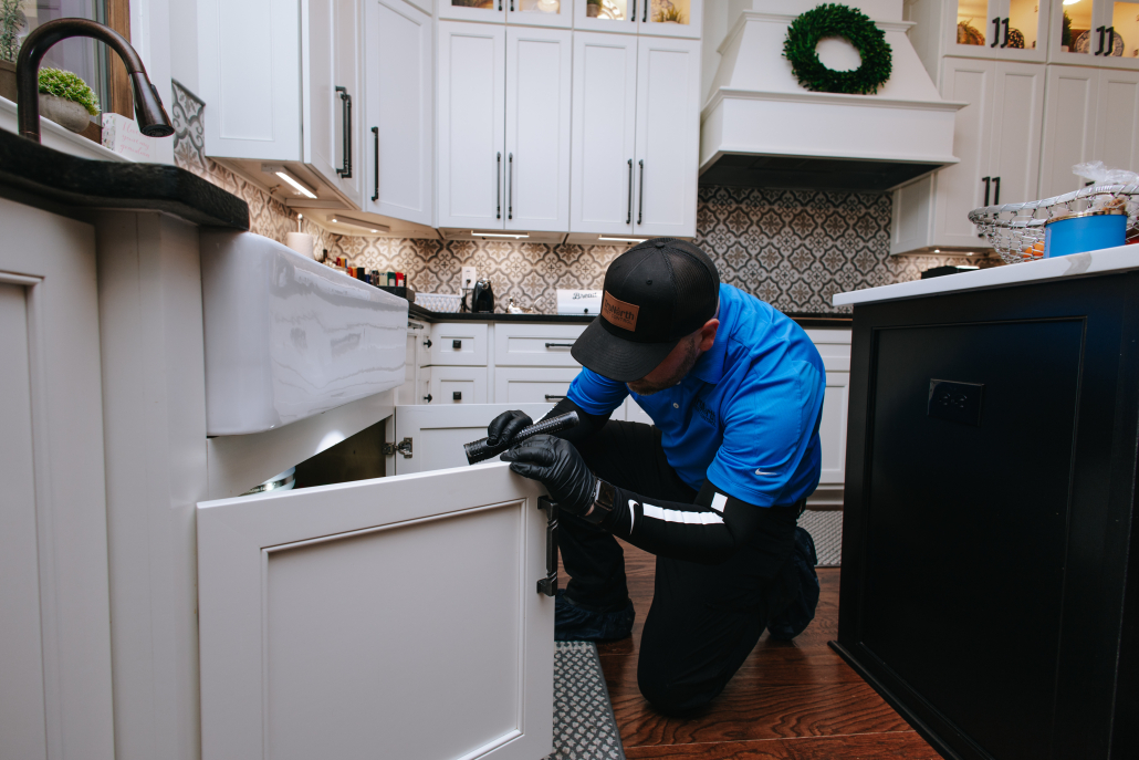 pest control service in Santa Rosa Beach Florida