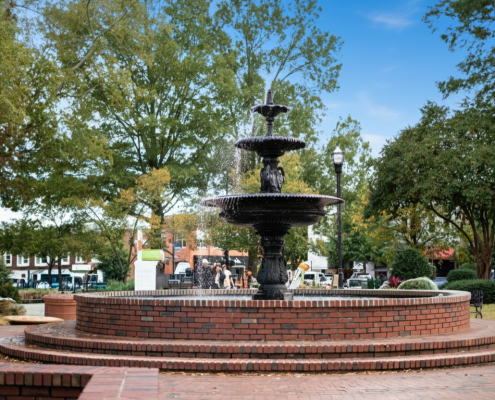 pest control in Marietta GA for families with children and pets