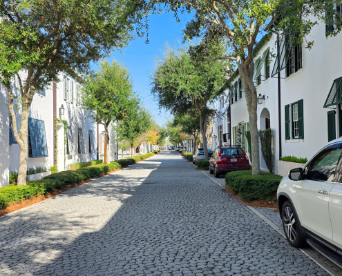 Alys Beach Pest Control
