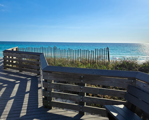 Blue Mountain Beach Pest Control