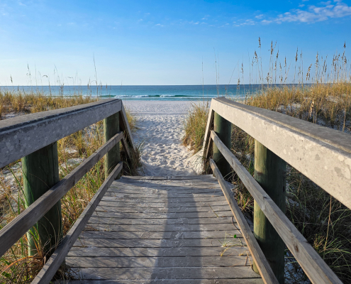 Destin Beach Pest Control