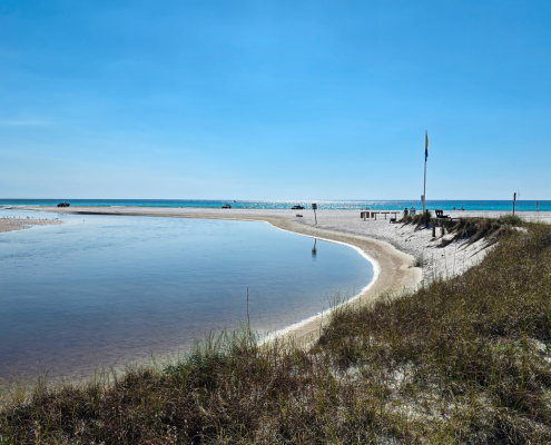 Grayton Beach Pest Control