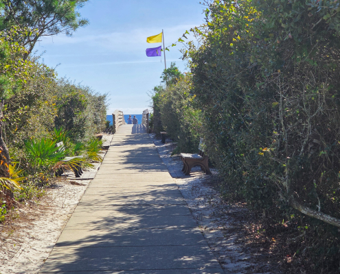 Intet Beach Pest Control