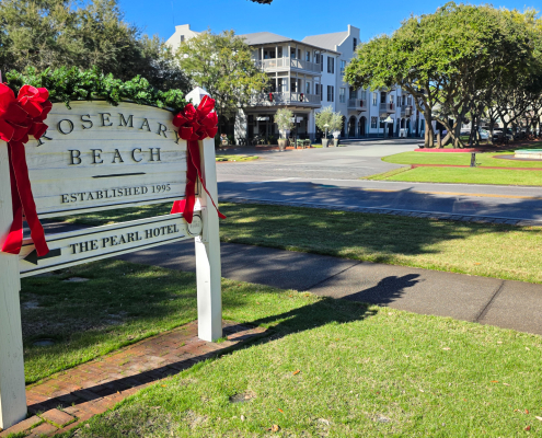 Rosemary Beach Pest Control