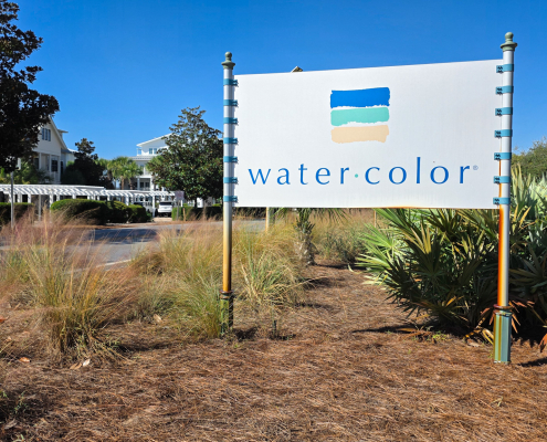 Water Color Pest Control